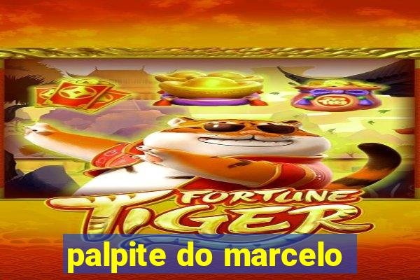 palpite do marcelo