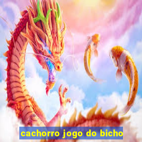 cachorro jogo do bicho