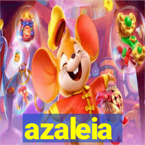 azaleia-br.com