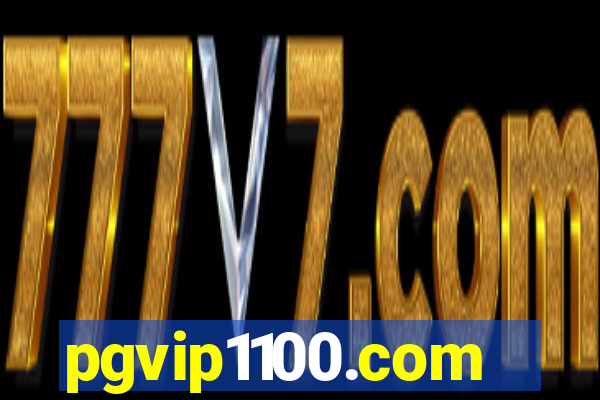 pgvip1100.com